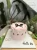 BSN – ĐG308